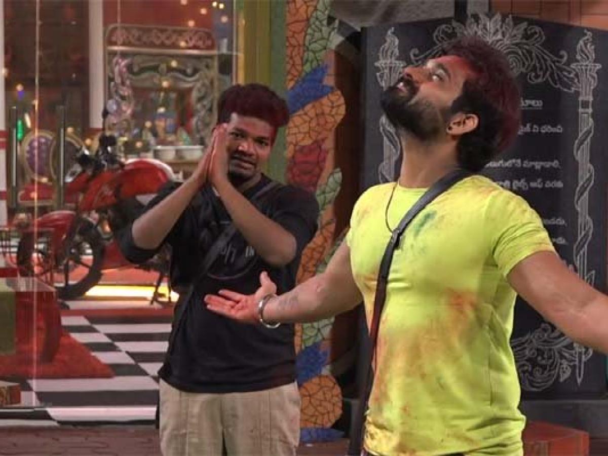 Bigg Boss 4 Elimination: Akhil vs Avinash