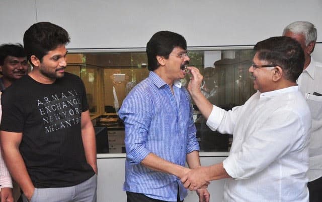 Bunny Teaming with Mass Director