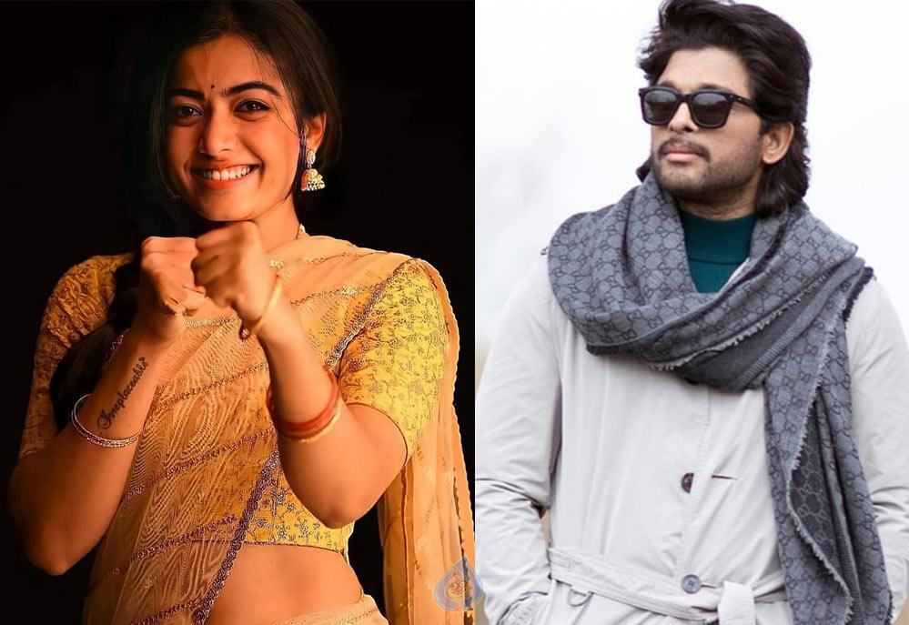 Stylish Star bowls Sandalwood seductress