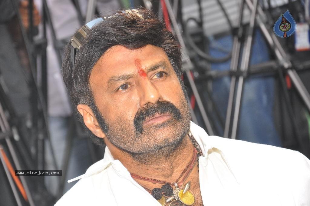 Balakrishna Not Risking, Who Else Will?