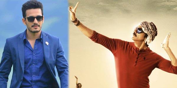 Akhil Pushes Bengal Tiger Out!