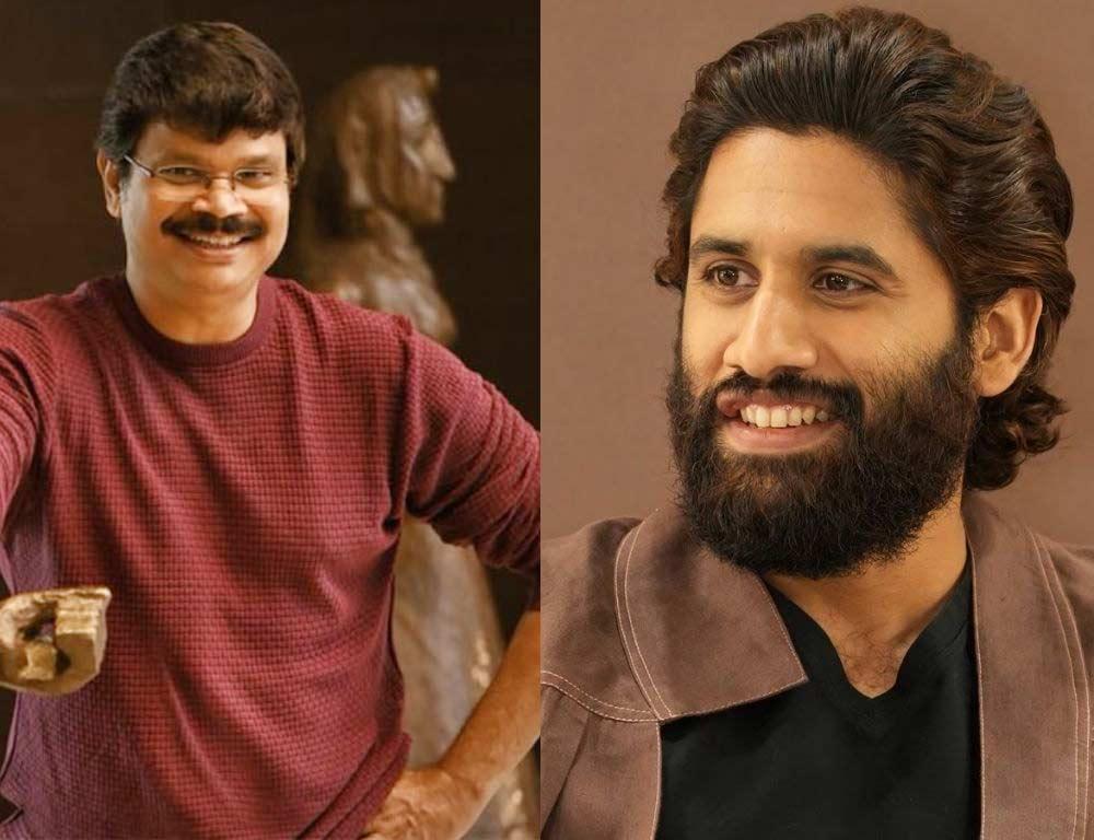 Geetha Arts and Boyapati Srinu Team Up with Naga Chaitanya
