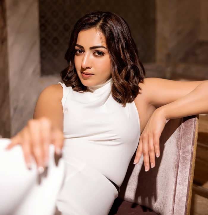 Catherine Tresa Joins Sundeep Kishan for a Glamorous Song in Sigma