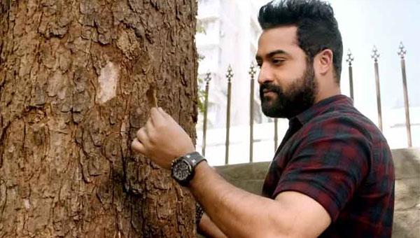 Channel's Journo Fake Twitter Targets NTR!