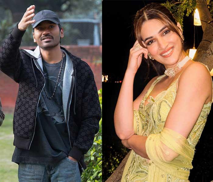 Dhanush Kriti Sanon movie Tere Ishk Mein in Leh