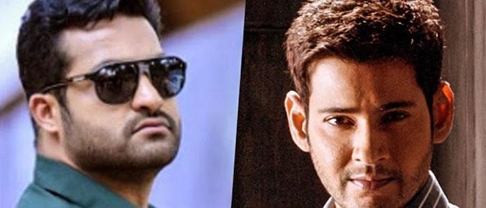 Mahesh - 25, NTR - 14?