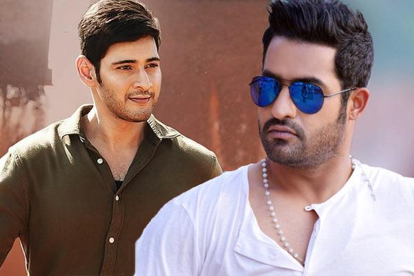 NTR Cleverer Than Mahesh Babu!?