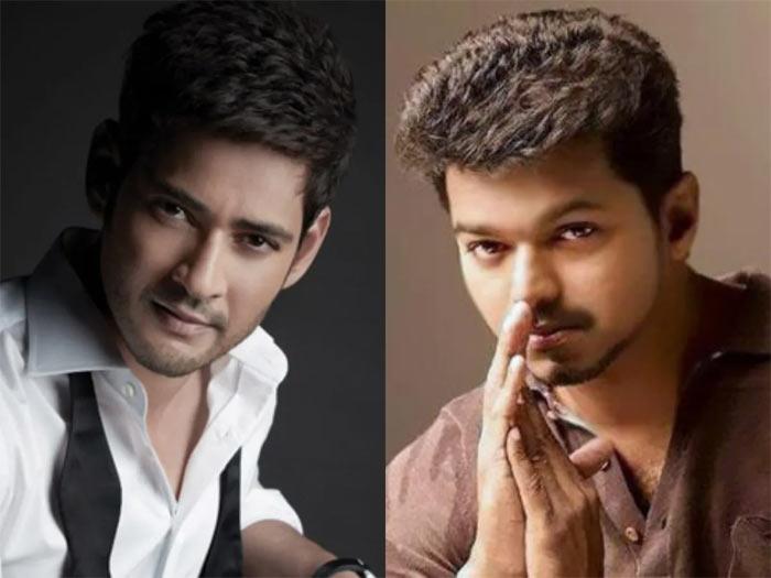 Vijay Was Mahesh Babu's Villain, But