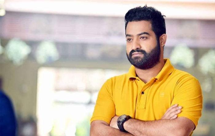 Meera Chopra &amp; Payal Ghosh Deeply Disturbing NTR Fans!