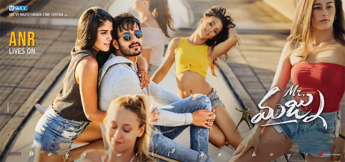 Mr Majnu Pre Release Business
