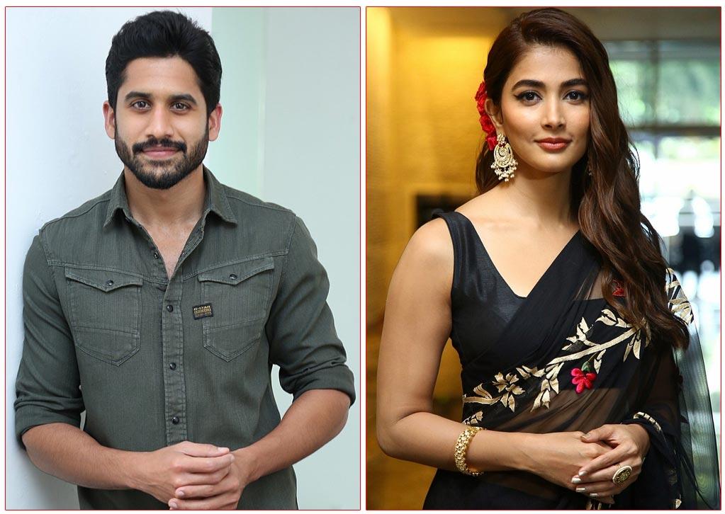 Pooja Hegde To Woo Naga Chaitanya