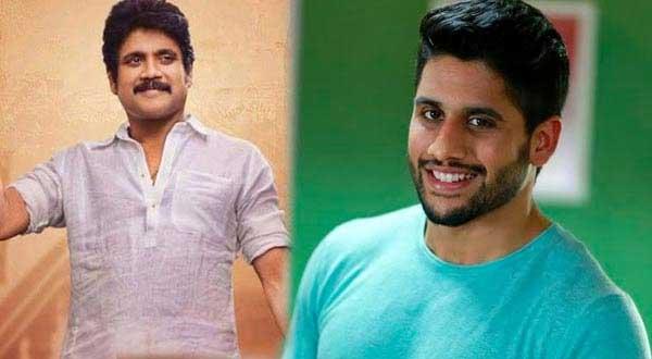 Nag: One More Highlight of Premam!