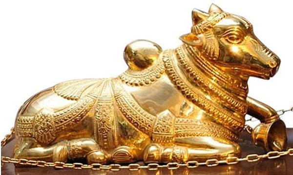Huge Lobbying for Nandi 2012 &amp; 2013?