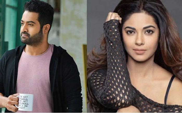 NTR Fans Complain KTR on Mahesh Fans &amp; Meera