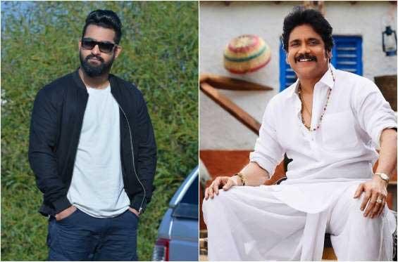 'Soggade Chinni Nayana' Beating 'NPT' in AP &amp; TS!