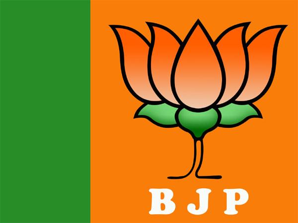 Palair by-polls results is not public mandate: BJP