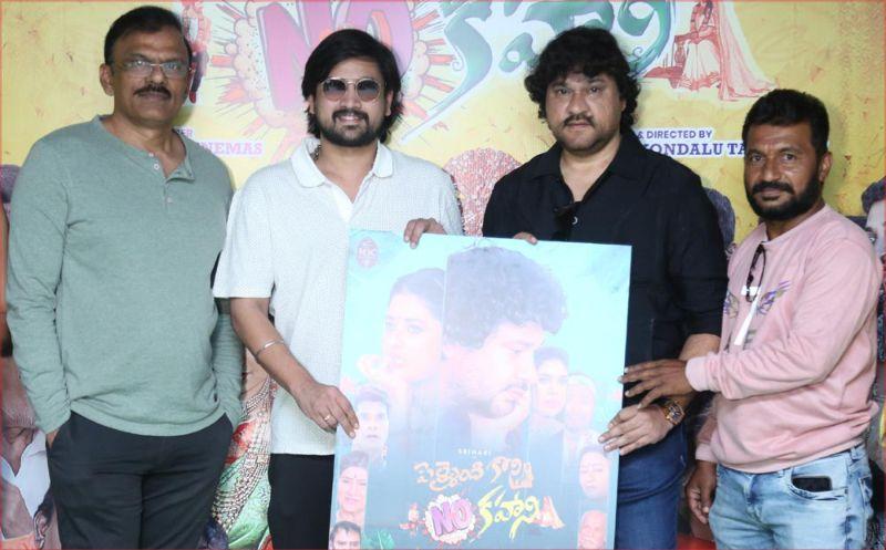 Pellayindi Kani NO Kahani Poster Launch