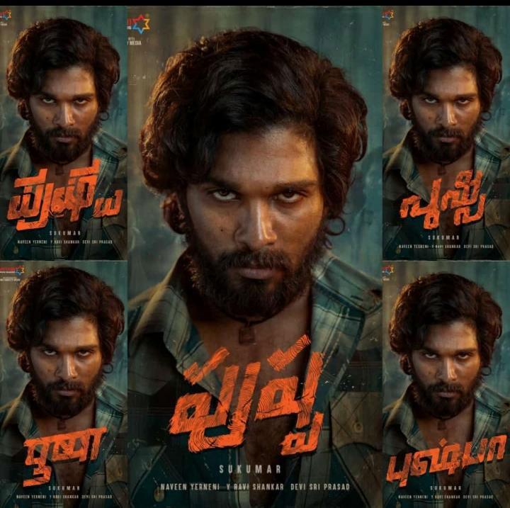 This Is Allu Arjun's Pan Indian Challenge
