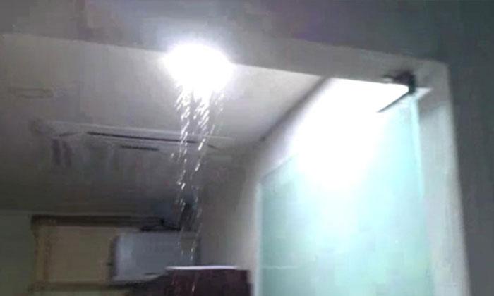 Rain Songs in AP Secretariat?