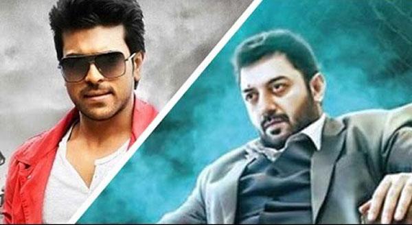 Charan &amp; Arvind Swamy Face to Face!