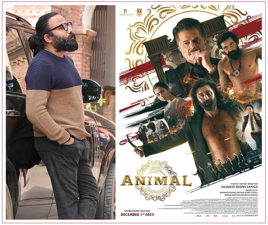 Kabir Singh is not violent, Animal shows real violence