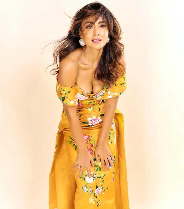 Shriya Saran Sizzles Again in a Special Song