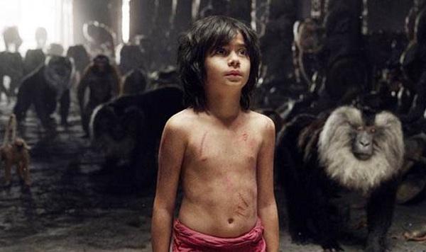 Mowgli Domination Continues