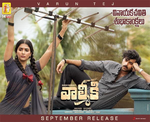 Why Other Hero's Remix In Valmiki?