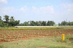 Tollywood Stars Eye RS 1,700 Crore Prime Land