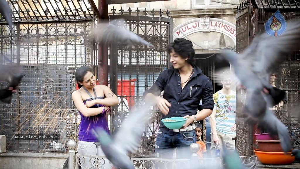 CineJosh gallery photo
