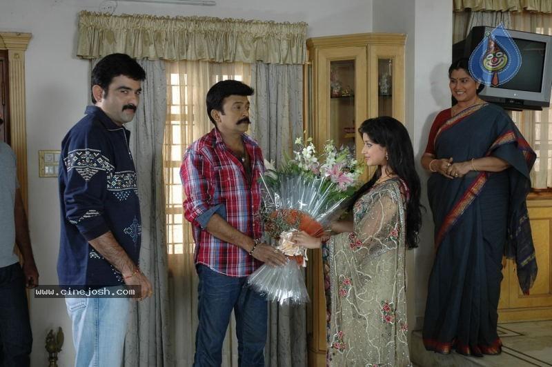 CineJosh gallery photo