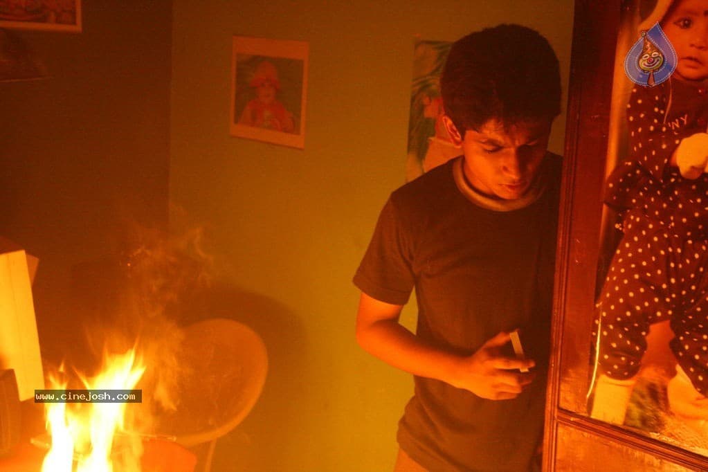 CineJosh gallery photo