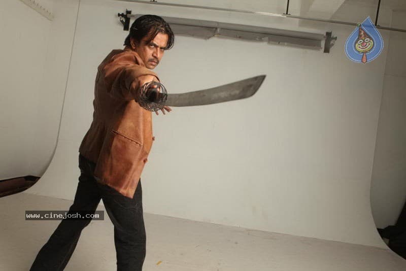 CineJosh gallery photo