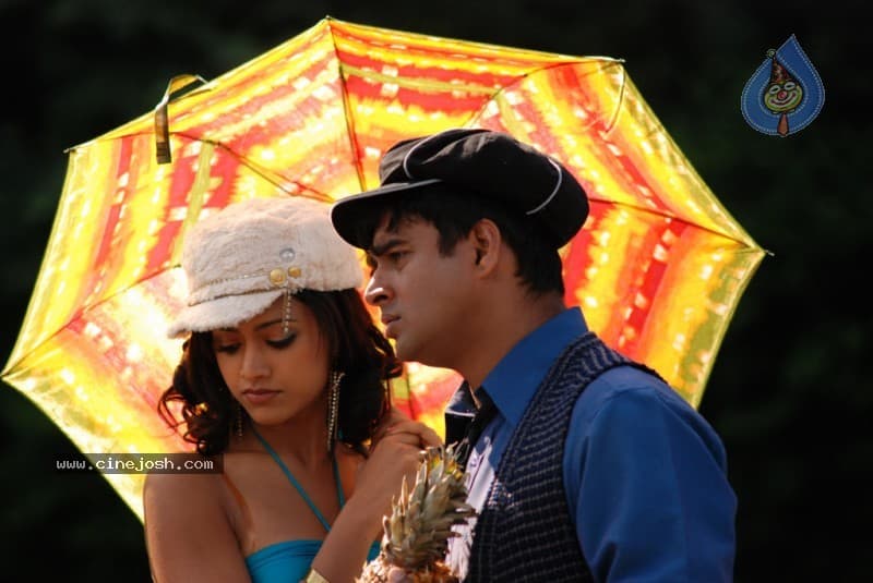 CineJosh gallery photo