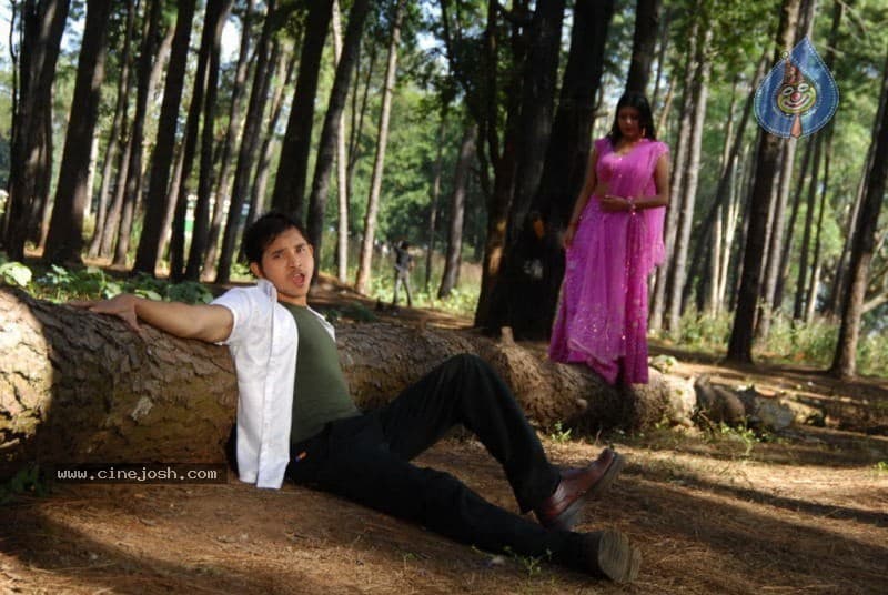 CineJosh gallery photo