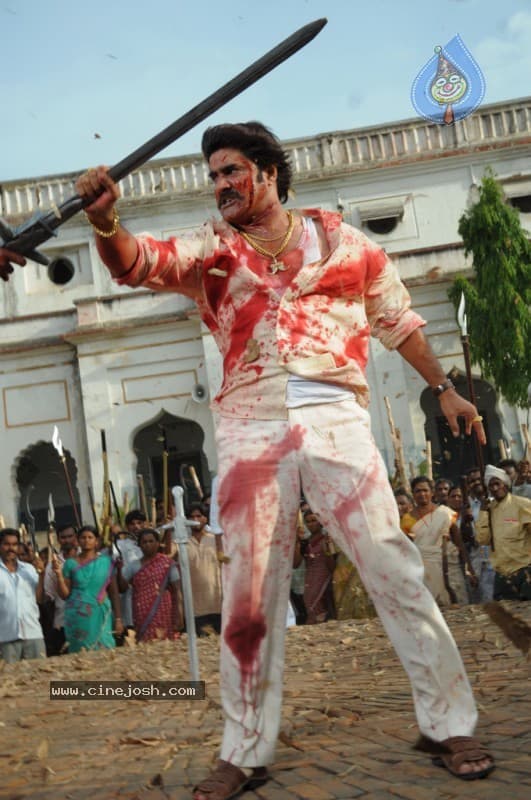 CineJosh gallery photo