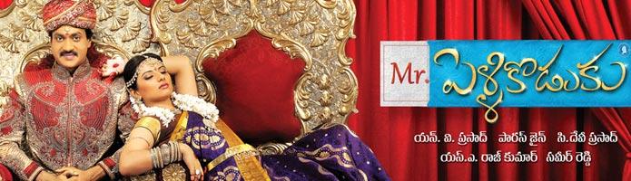 Mr Pellikoduku Review 