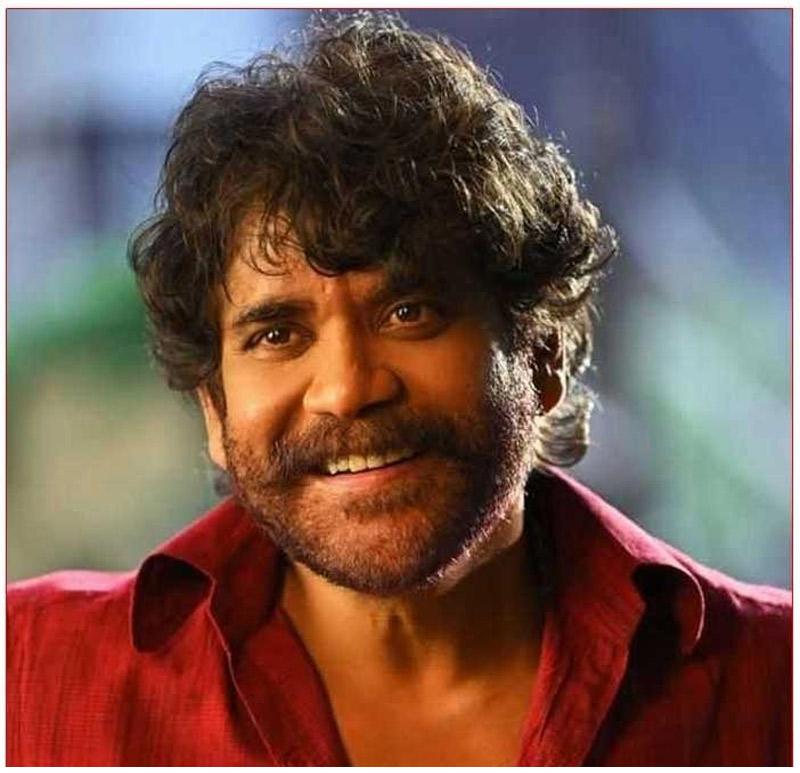 2025 Sankranthi Release Movies Details