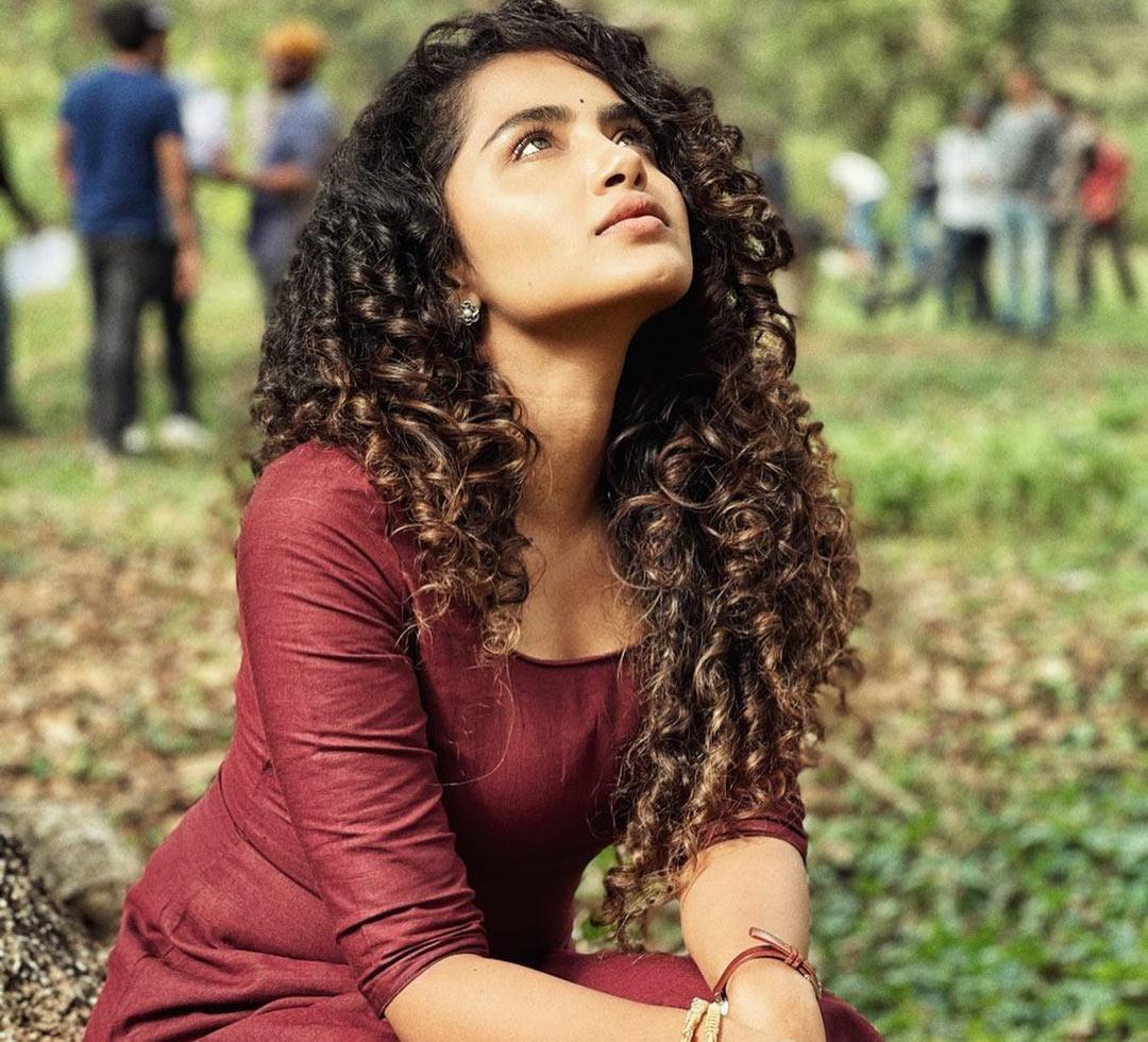 Actress Anupama Parameswaran Comments About Game