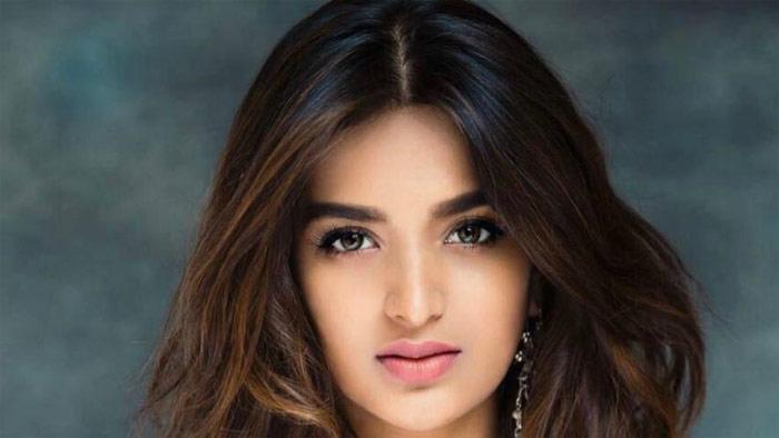 After quite long wait Tollywood gets a treasure called Nidhhi