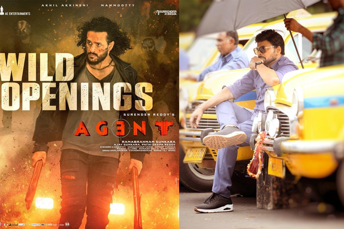 Agent Disaster makes you forget the pain..