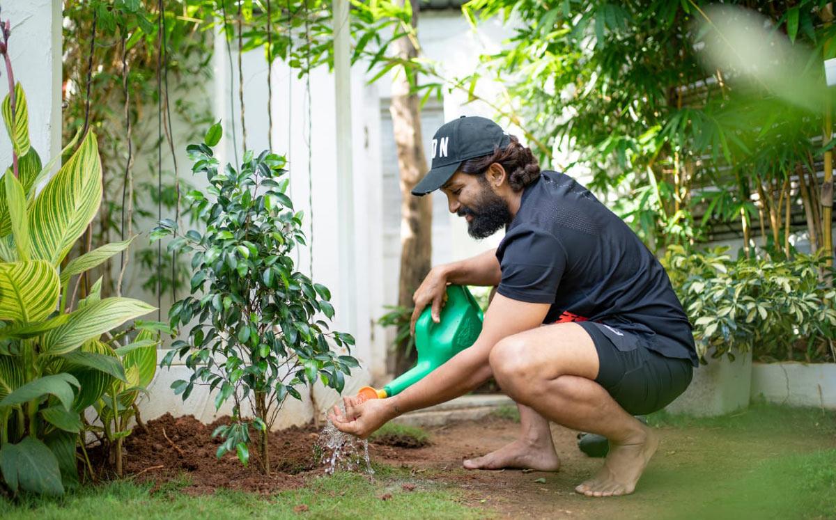 Allu Arjun - Sukumar Pushpa Update