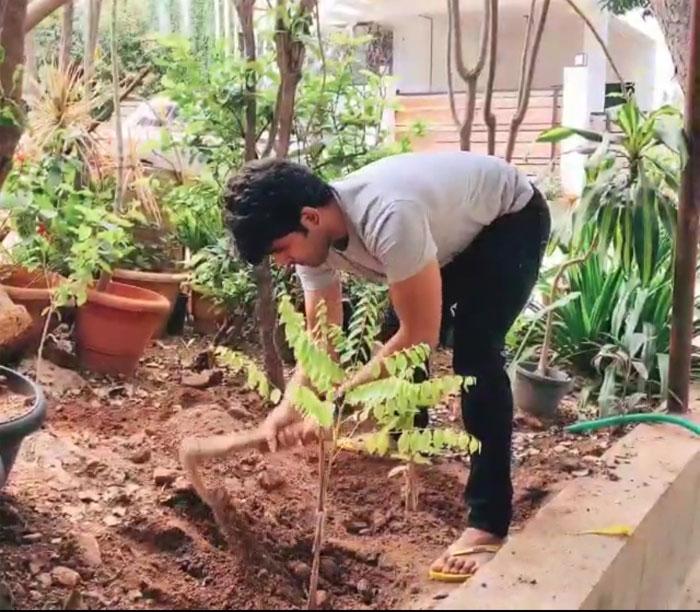 Allu Sirish accepts green India challenge, plants saplings