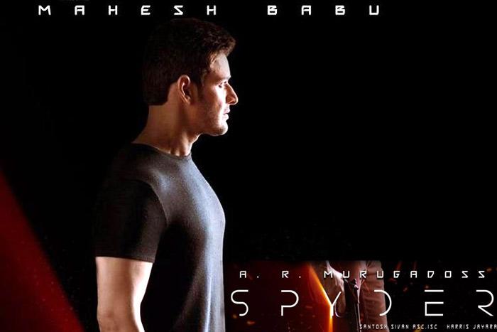 Another Interruption For 'spyder'