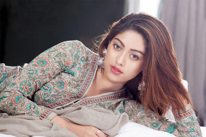 Anu Emmanuel for Naga Chaitanya's Film!