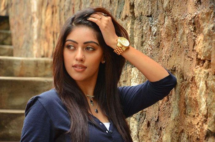 Anu Emmanuel Gots Big Projects in Tollywood