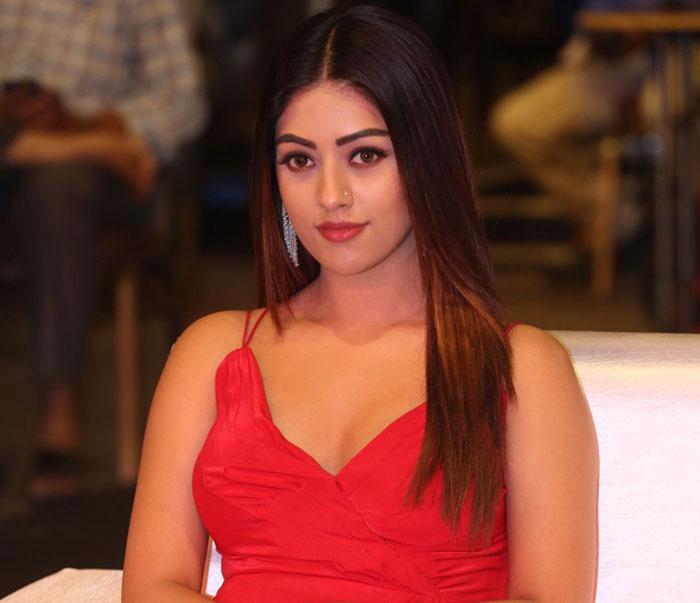 Anu Emmanuel in Ram Charan and Boyapati Movie