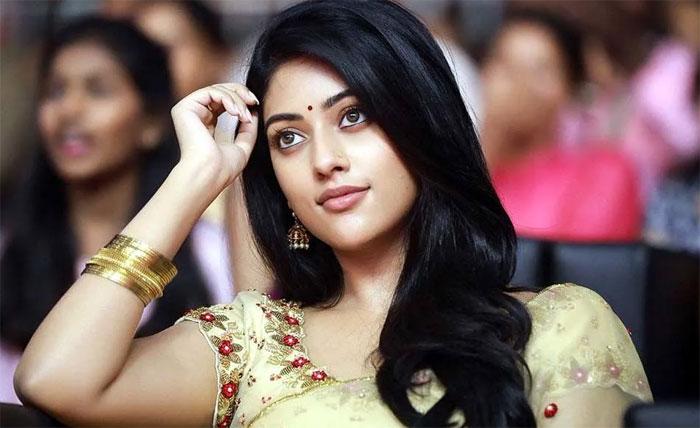 anu emmanuel role in Alludu adurs Movie