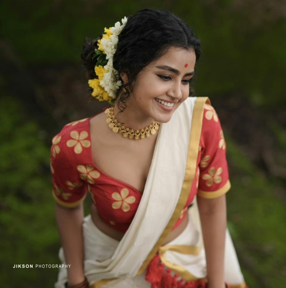 Anupama Parameswaran Breakup News