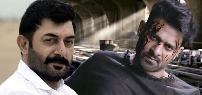 Arvind Swamy Villain in Prabhas Saaho Movie